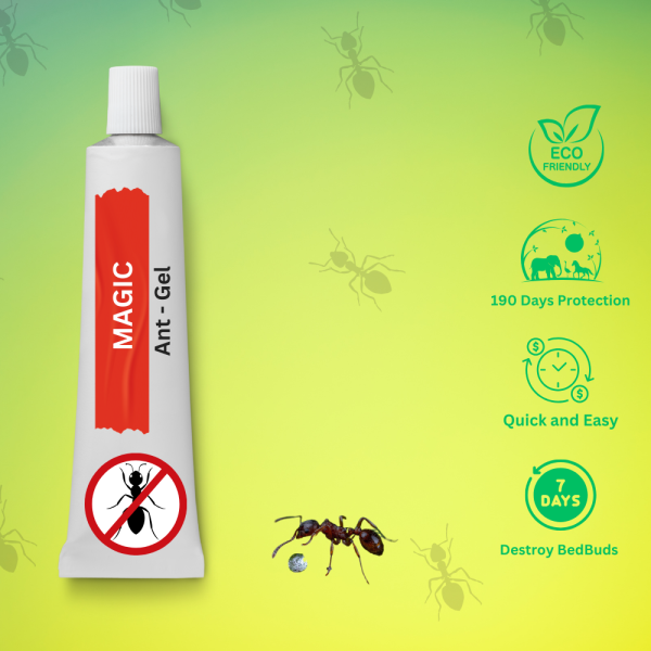 Ants Gel - Image 2