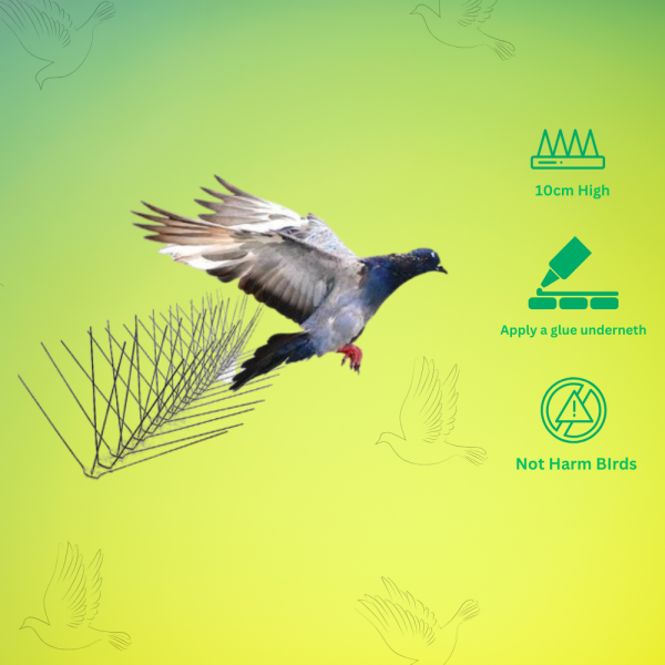 Birds Spike - Image 2