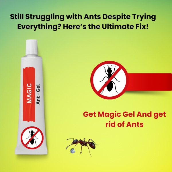 Ants Gel